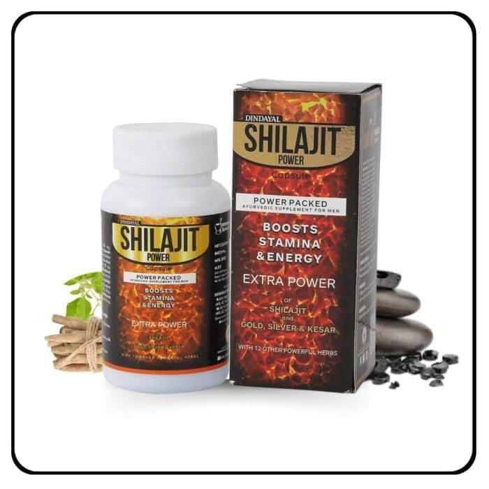 Shilajit power